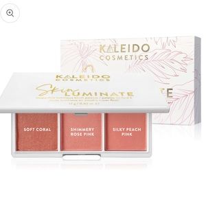 Skinluminate - Superfine Luminous Blush Palette NWT full size make up palette